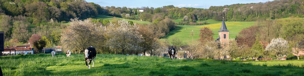 beautiful valley of slenaken in spring under blue sky with blossoming trees