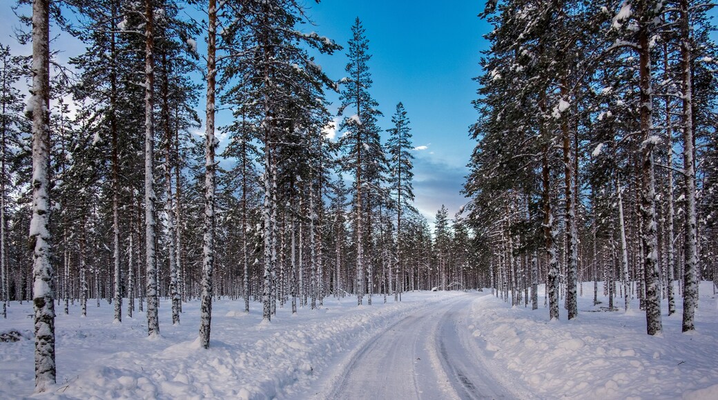 Norway white landscape