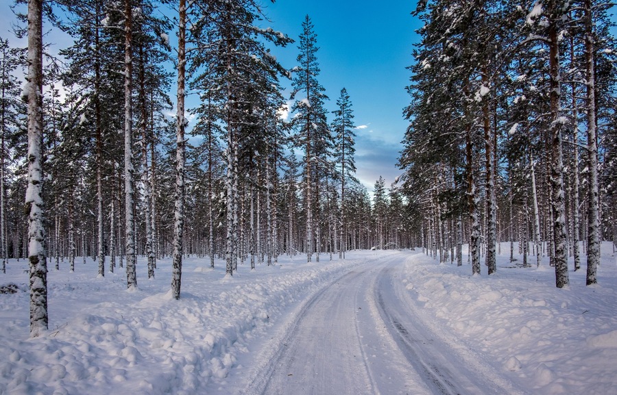 Norway white landscape