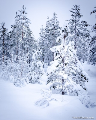 Somewhere in Norway ....
#snow #ice #winter #norway