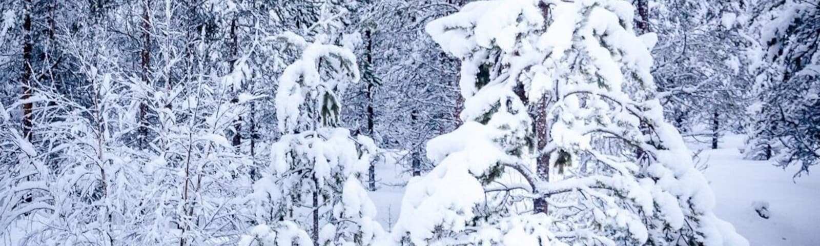 Somewhere in Norway ....
#snow #ice #winter #norway