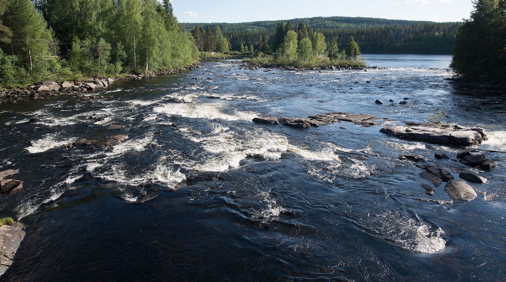 Glomma river in Elverum, Norway