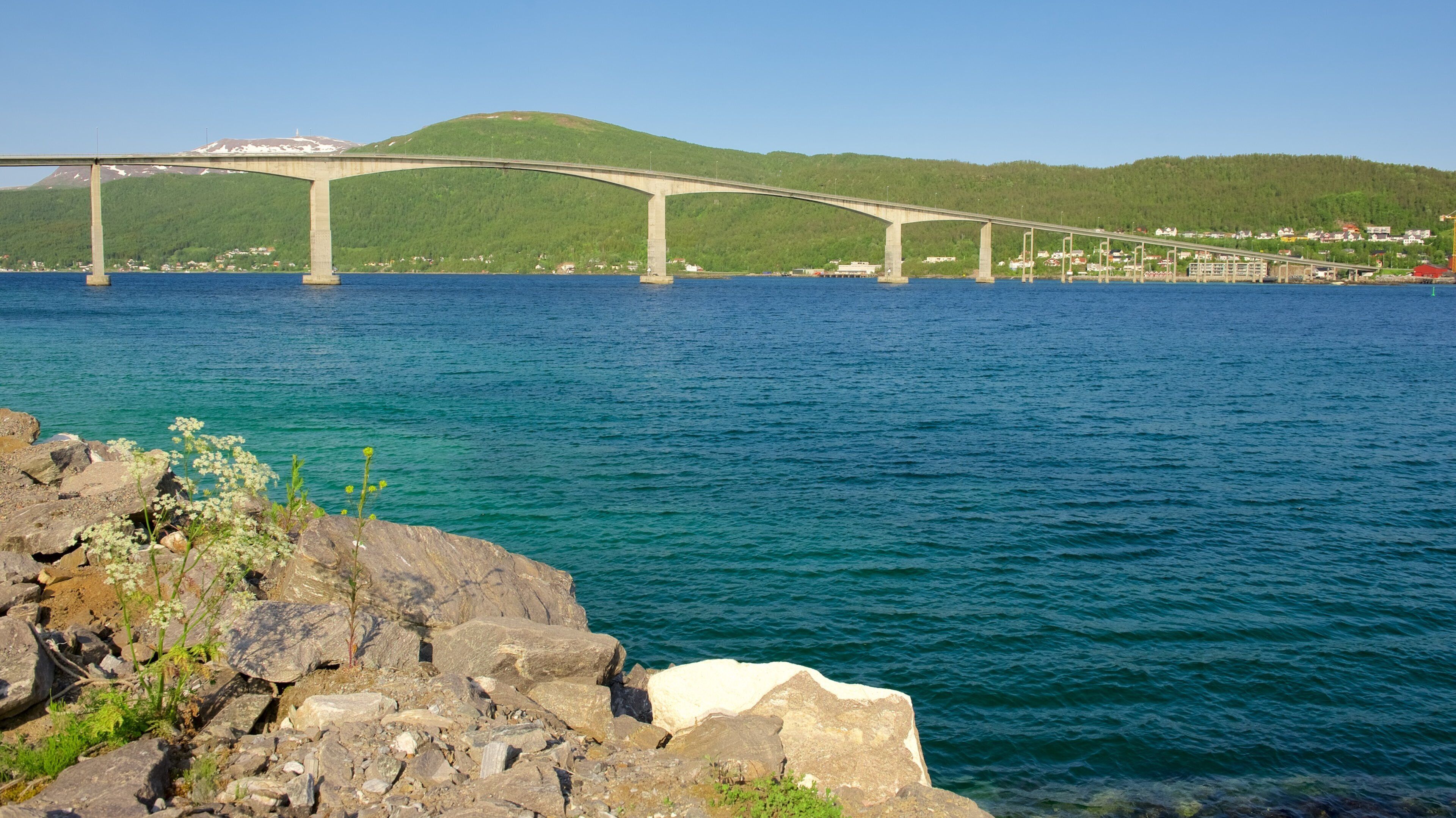 Finnsnes som inkluderer kyst og bro