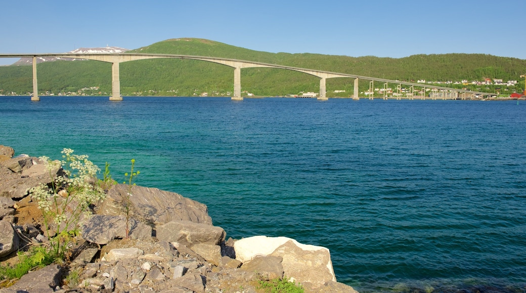 Finnsnes som inkluderer kyst og bro