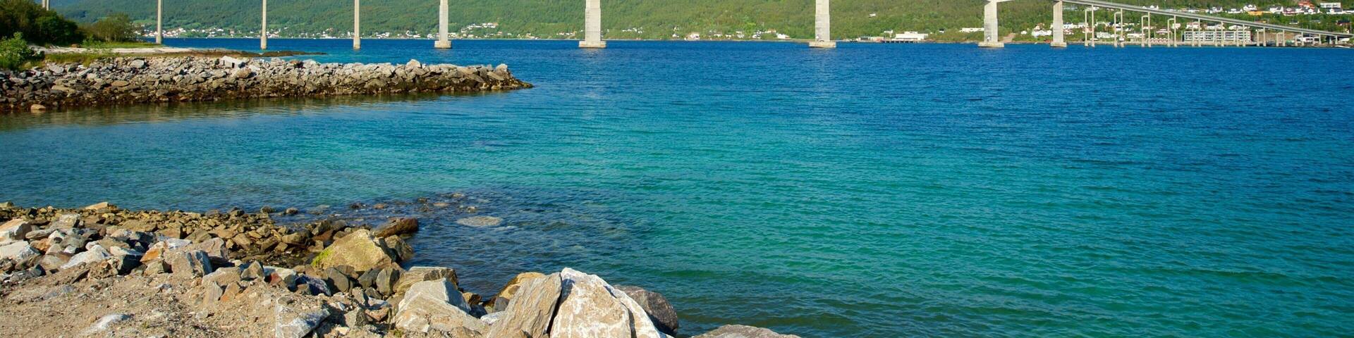 Finnsnes featuring general coastal views and a bridge