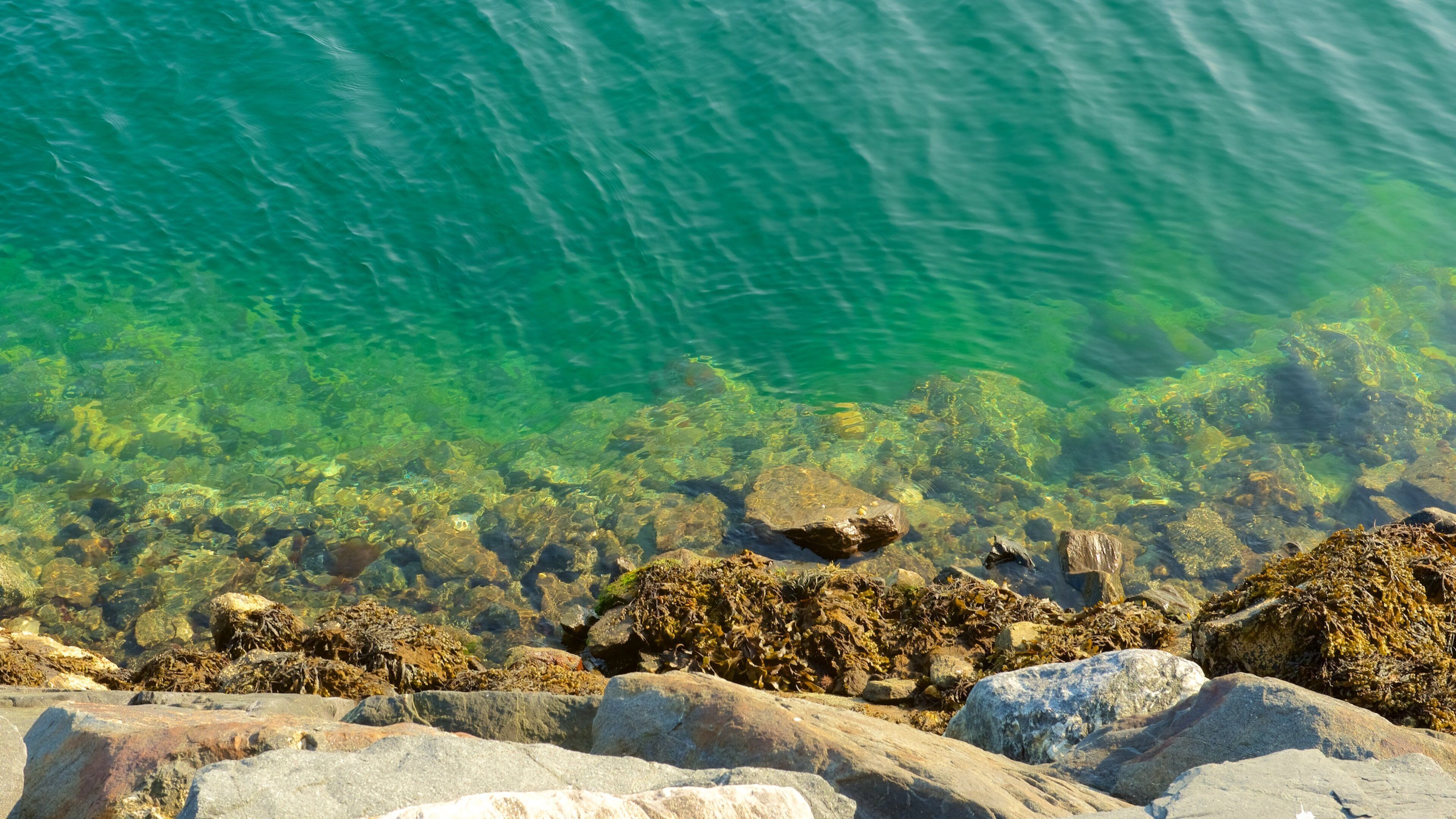 Finnsnes showing rocky coastline