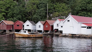 Norwegian boathouses.
These days many of these buildings have been converted to cabins, but these seems to for the boats.