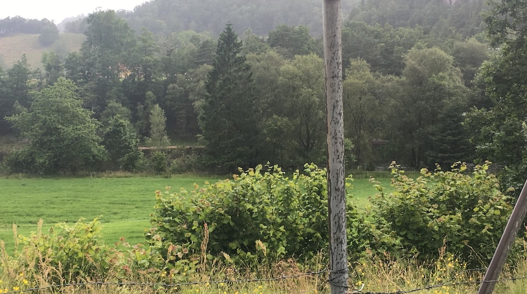 Trying to decide which way, in Norway i don't think it matters