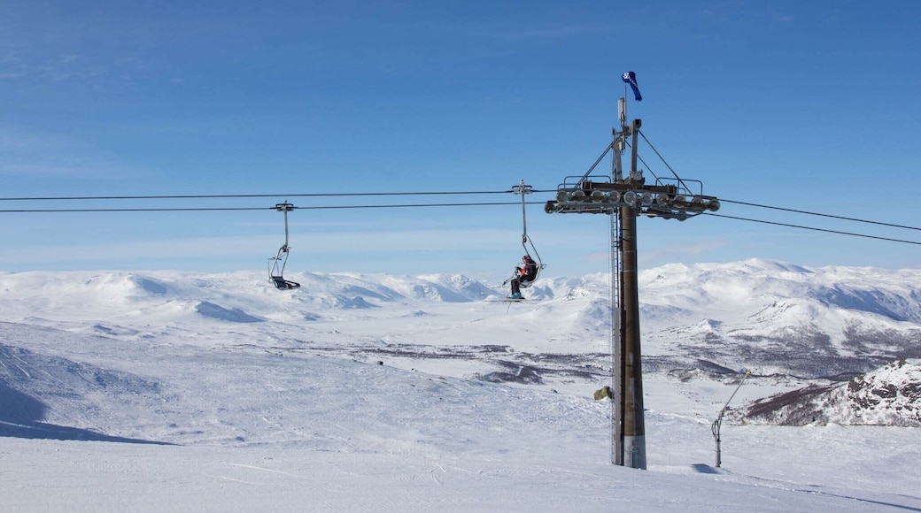 Above the tree line the views are great. #snow