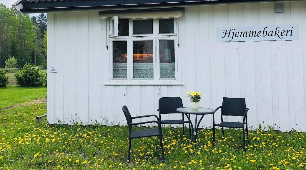 Super cute little bakery we found thanks to the traditional food (rooster) sign on the main road. The shop owner was away but her husband(?) unlocked the shop and let us take a look. I was happy to find a couple #glutenfree (bread and muffins?) options! We almost bought some things but it turns out while she can accept Visa he can only accept Norwegian Krone. #culture #norway