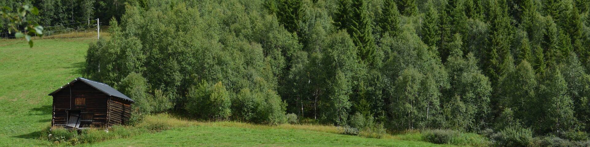 Rauland, Telemark, Norwegen im Sommer