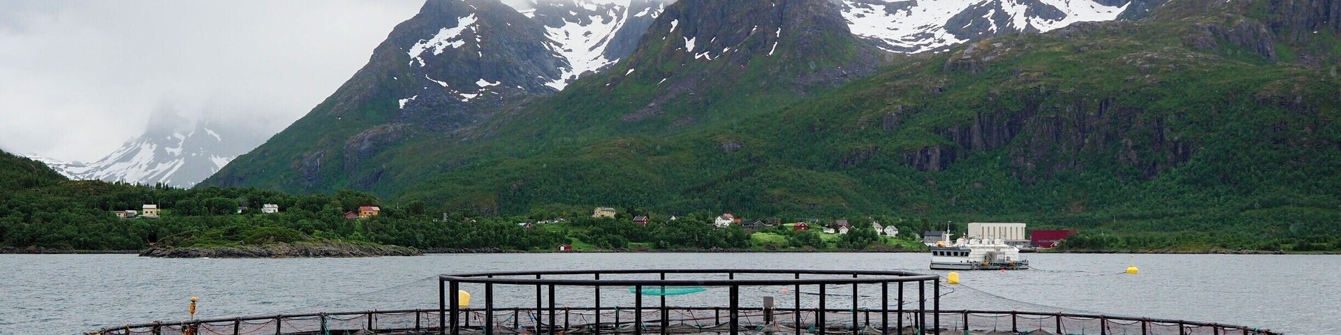 Did you know that Norway is the #2 supplier of salmon in the world? They farm the fish in many of the country's fjords. If you're interested in learning more about "aquaculture," consider visiting Akvakultur i Vesterålen in Sortland, which is part museum and part working salmon farm.
You'll learn about the salmon farming process, take a boat ride out to some salmon cages, and get to do a taste test at the end.