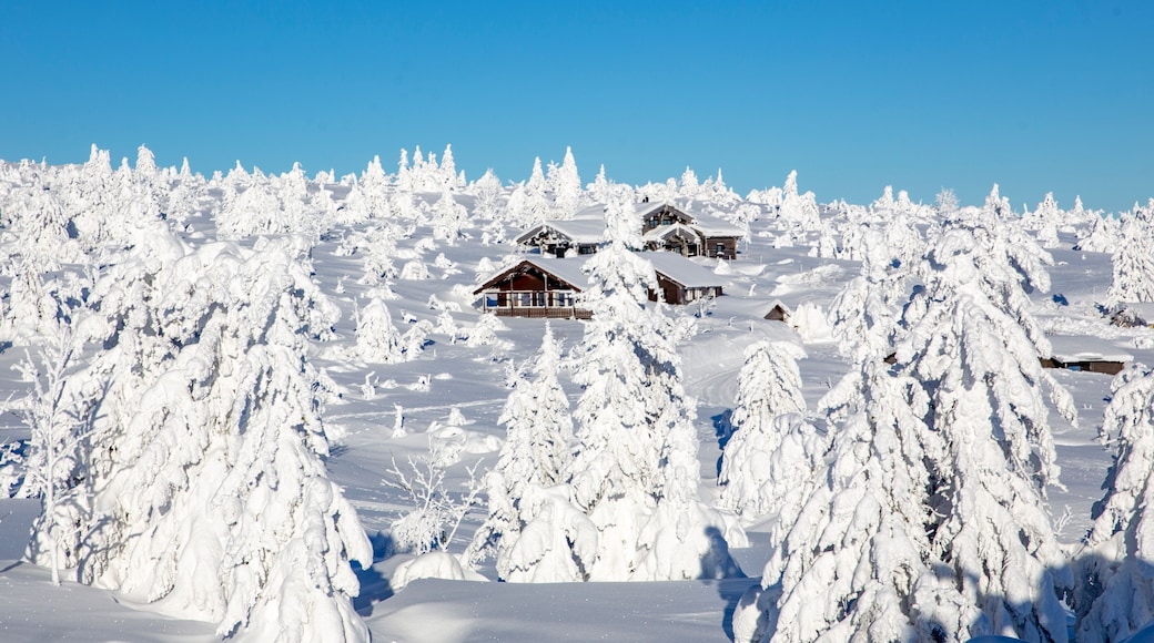 Winter landscape with snow and blue sky in Trysil mountain Norway