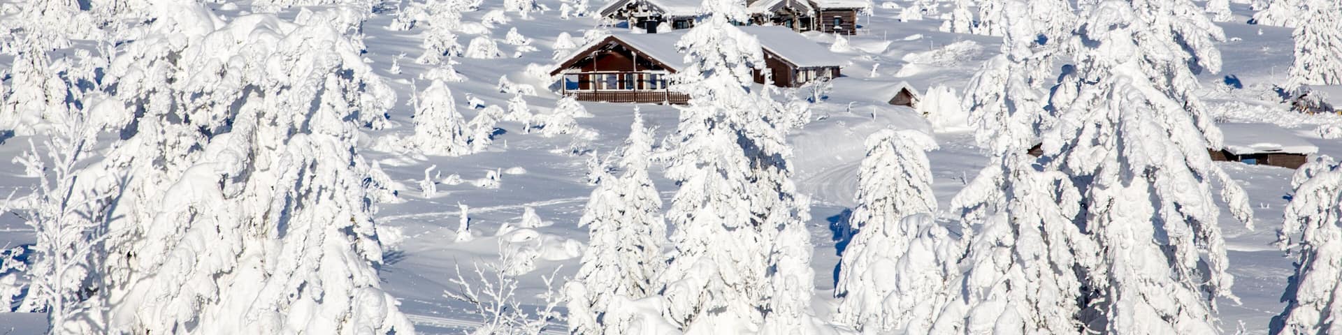 Winter landscape with snow and blue sky in Trysil mountain Norway