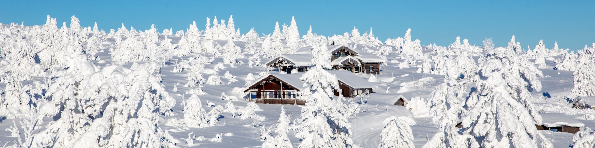 Winter landscape with snow and blue sky in Trysil mountain Norway
