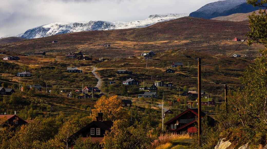 A typical landscape of the Hardangervidda in Norway. All pictures were taken in autumn. On the picture you see a small village in front of snowcoverd mountains.