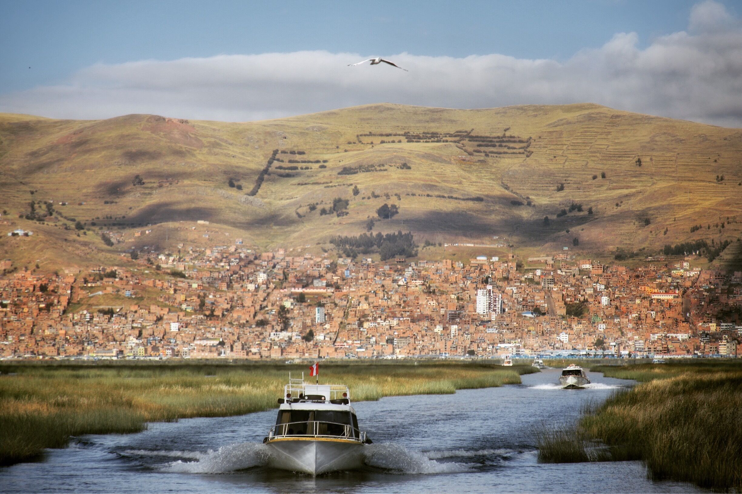Boats going out to the islands made of reeds. The city of Puno is in the background #TroveOnTuesday