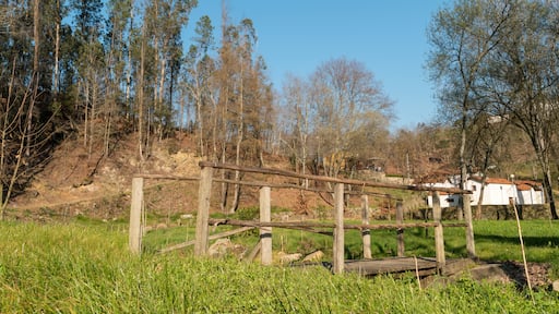 Oliveira de Azeméis