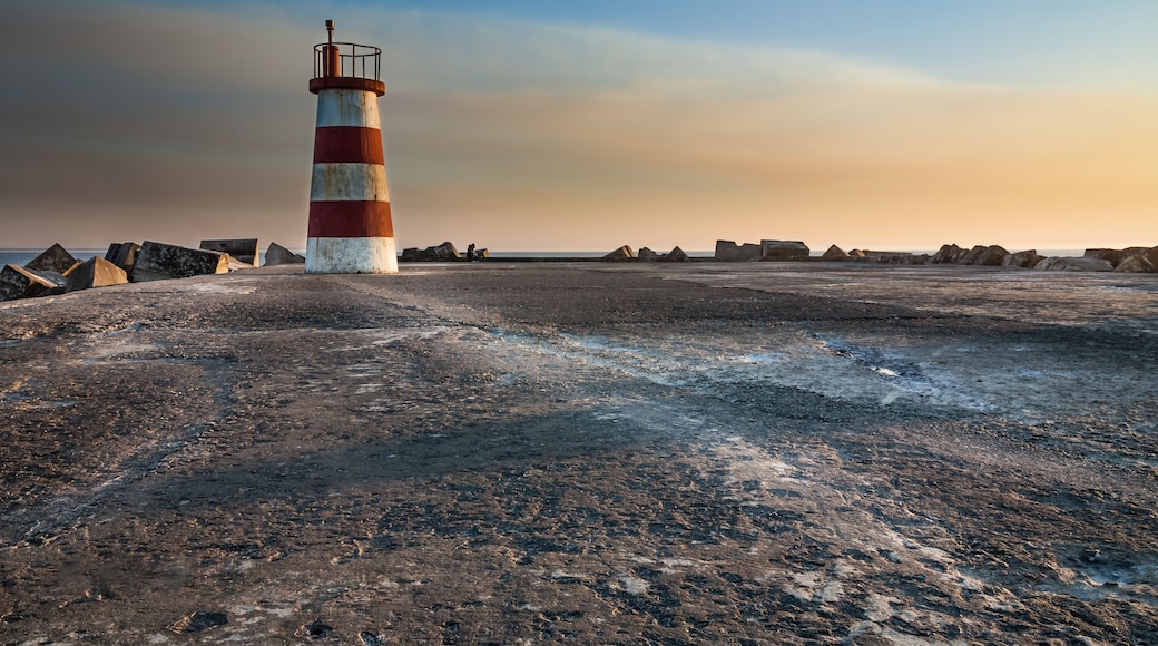 ポボア デ バルジン