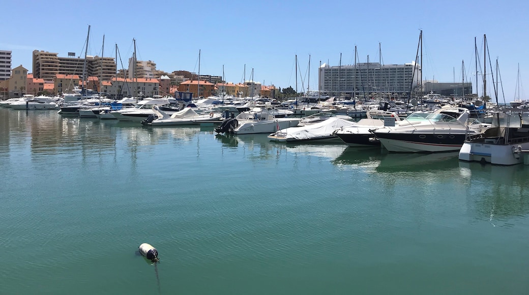 The expensive yachts of this Marina.