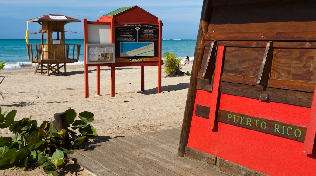 แคโรไลนา