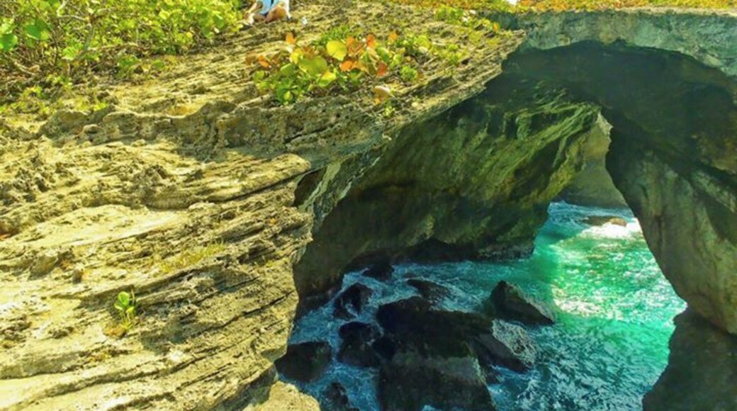 Beautiful arches over the ocean's rocky shores