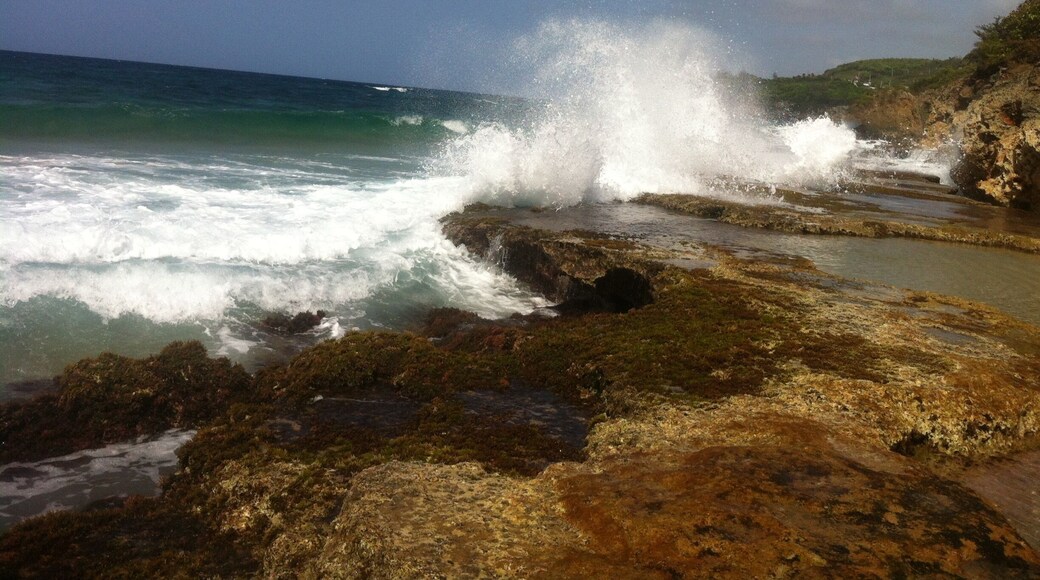Playa Guajataca, Isabela, P. R. #weekendgetaway #puertorico #beach #beachbound #tunelguajataca #thisispuertorico
