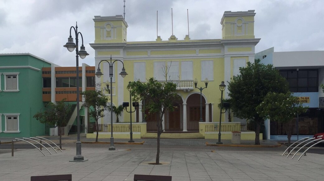 The Mayors office in Isabela Puerto Rico #adorable