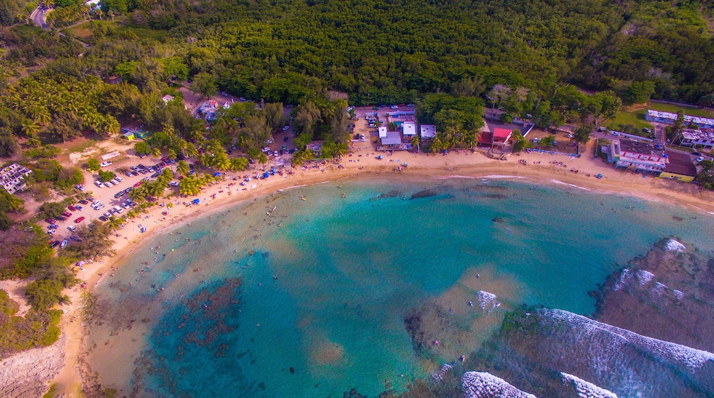 Aerial view of Playa Jobos in Isabela Puerto Rico