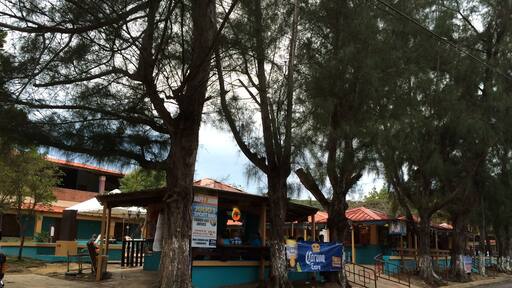 Great place for a few beers, dancing, and local food and appetizers.