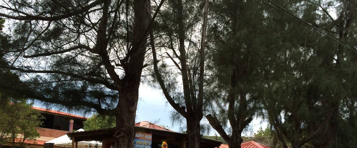 A sports bar named Julio's with outdoor seating, surrounded by large trees.