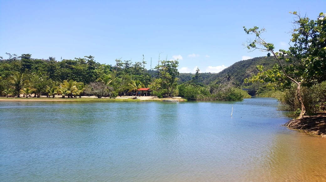 El río Guajataca: a few steps from El Tunel de Guajataca