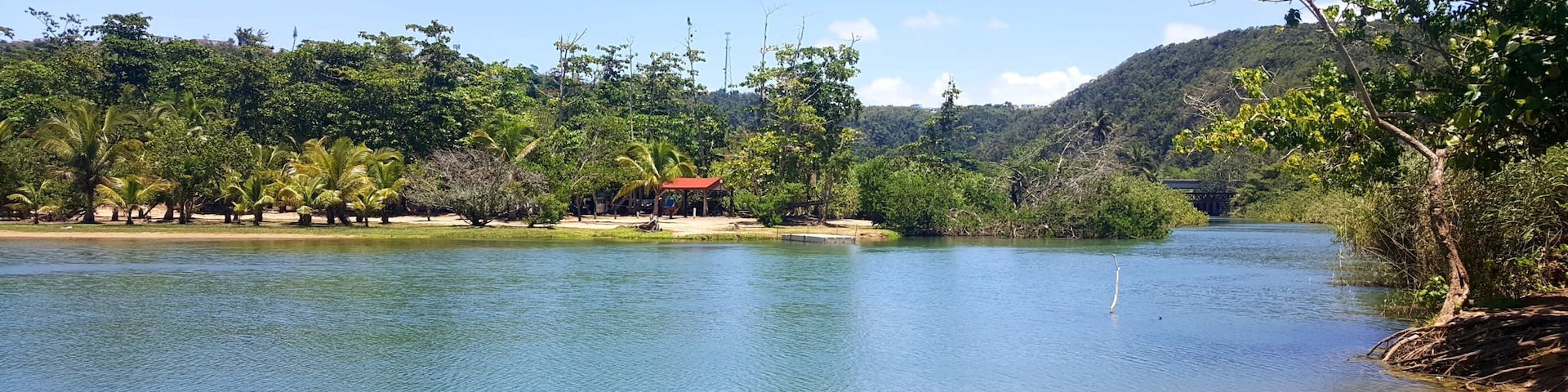 El río Guajataca: a few steps from El Tunel de Guajataca