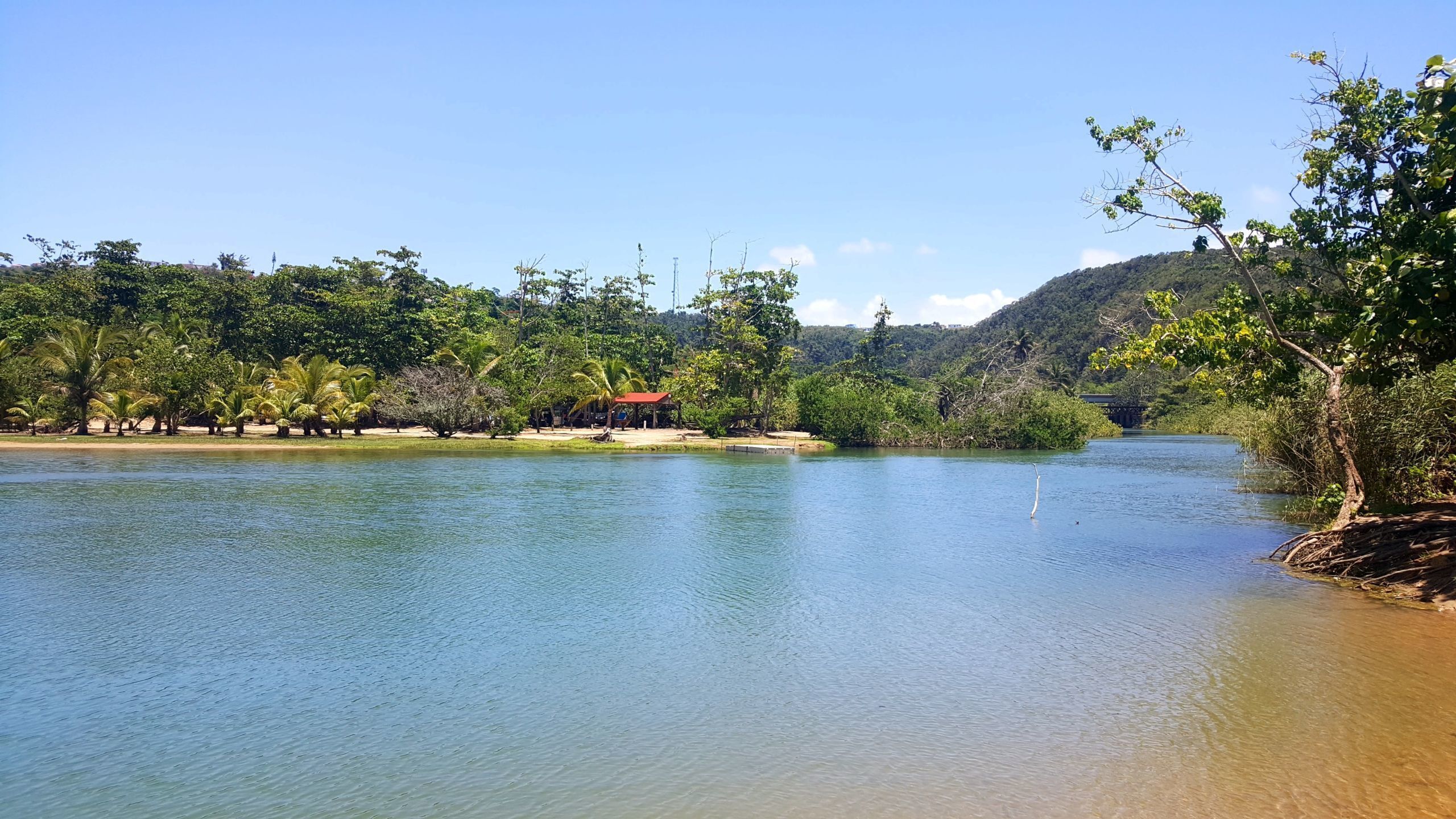A calm river with a small island, lush greenery, and a red-roofed structure on the shore.