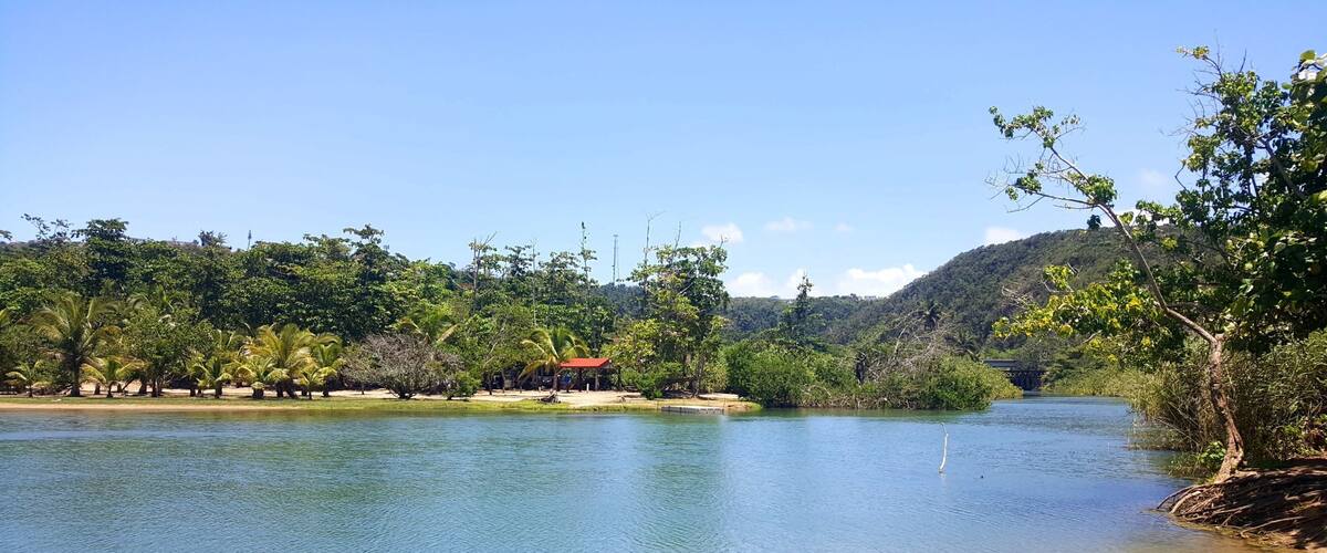 A calm river with a small island, lush greenery, and a red-roofed structure on the shore.