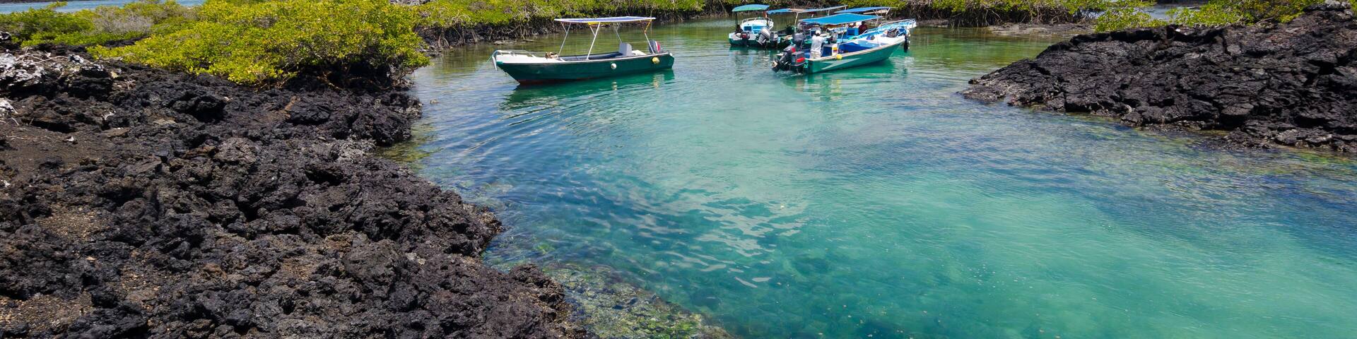 Isla Isabela - Puerto Villamil Snorkel and Diving. Perfect spot and crystal clear waters