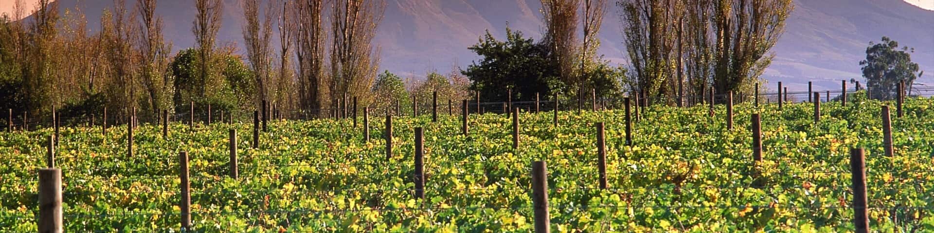 Franschhoek which includes mountains, a sunset and landscape views