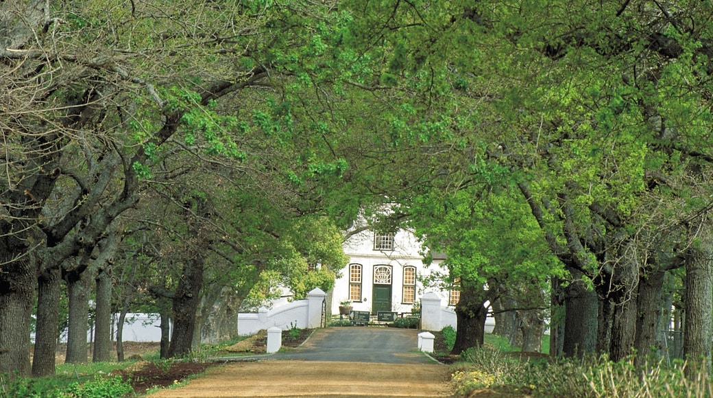 Franschhoek