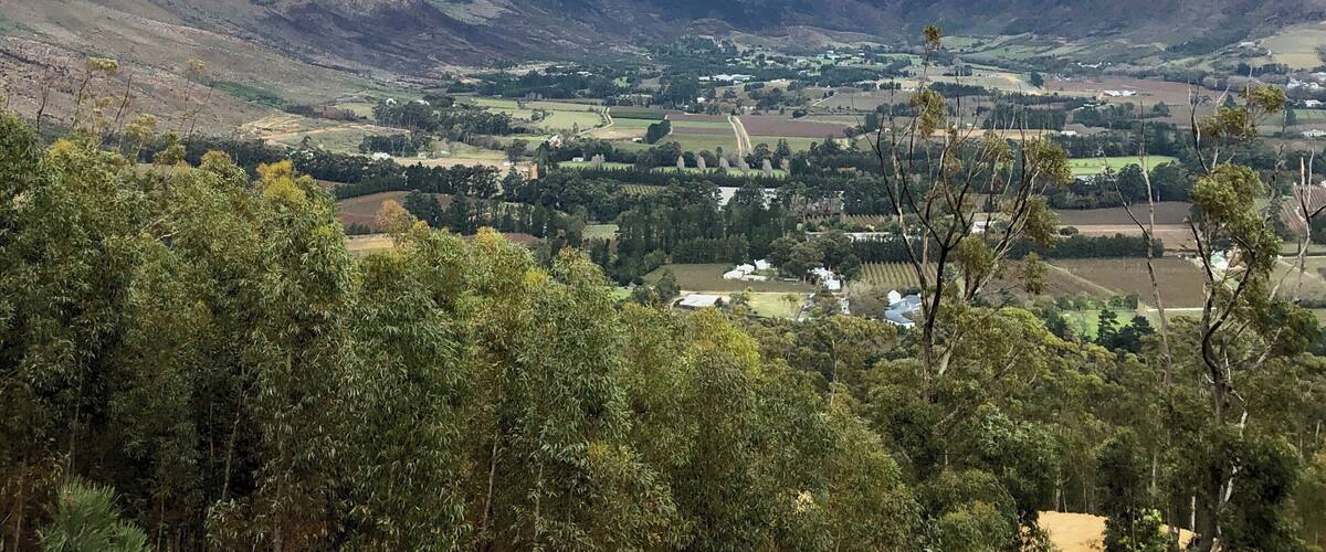 Driving out of Franschhoek and up the pass gives great views of the vineyards of the region. One of our favourite drives in SA ๐