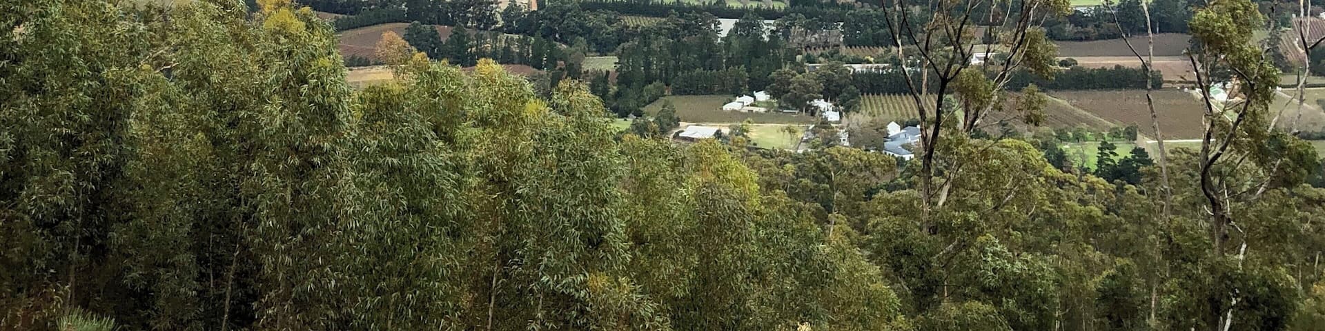 Driving out of Franschhoek and up the pass gives great views of the vineyards of the region. One of our favourite drives in SA đ