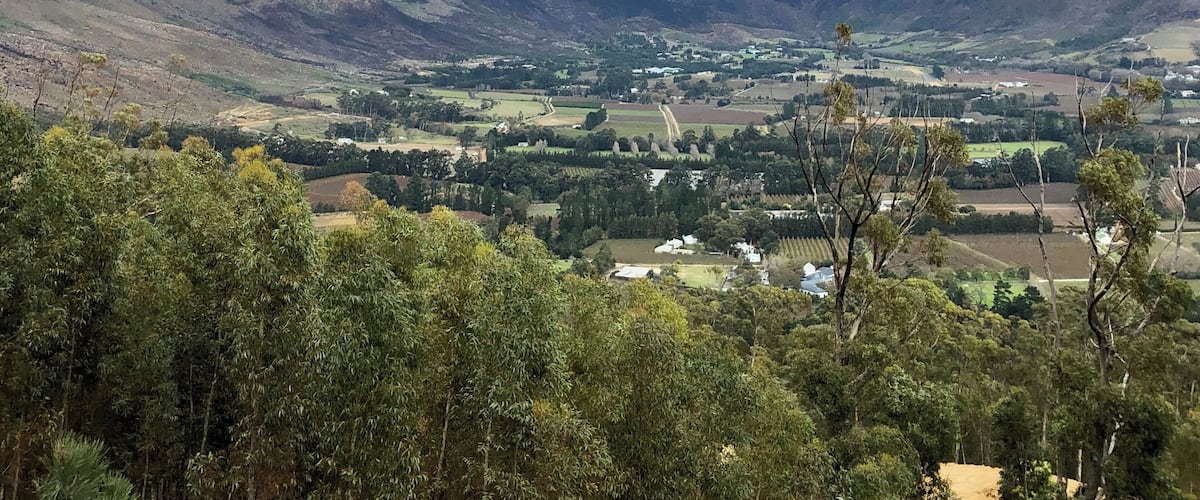 A mountainous landscape with a valley, scattered houses, and dense green trees.