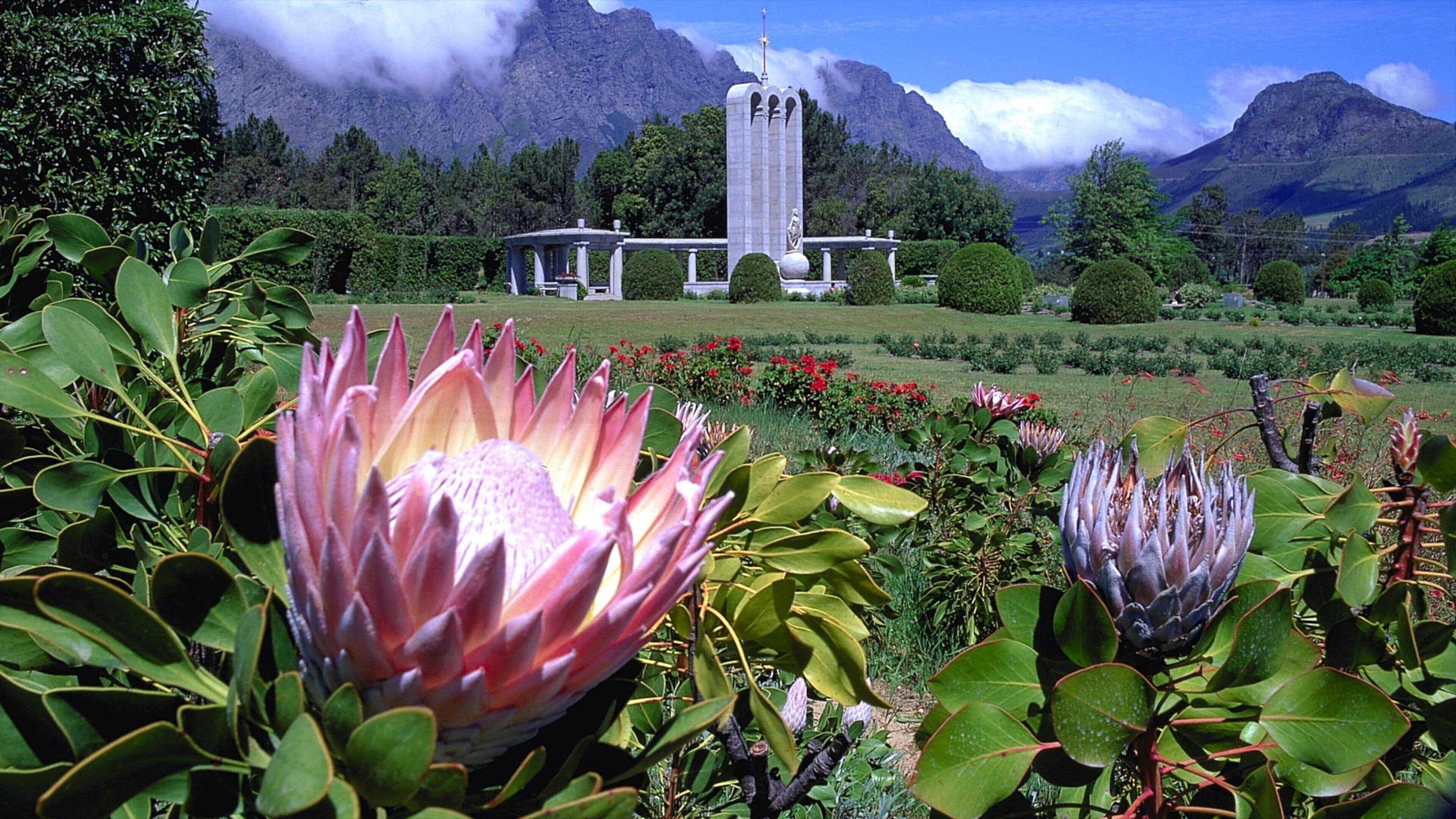 Thị trấn Franschhoek cho thấy phong cảnh, công viên và hoa