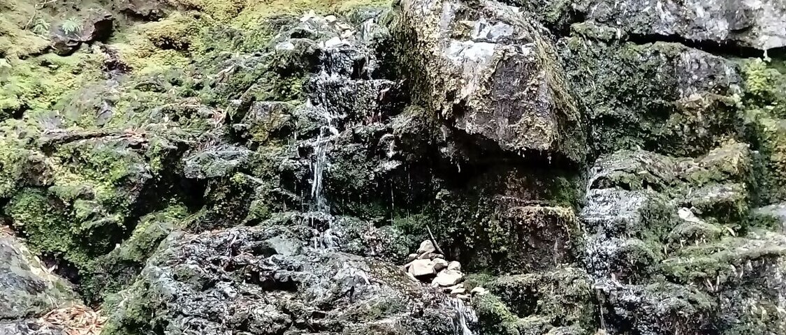 A Secret water spring off the Tradoupas.
#WesternCape