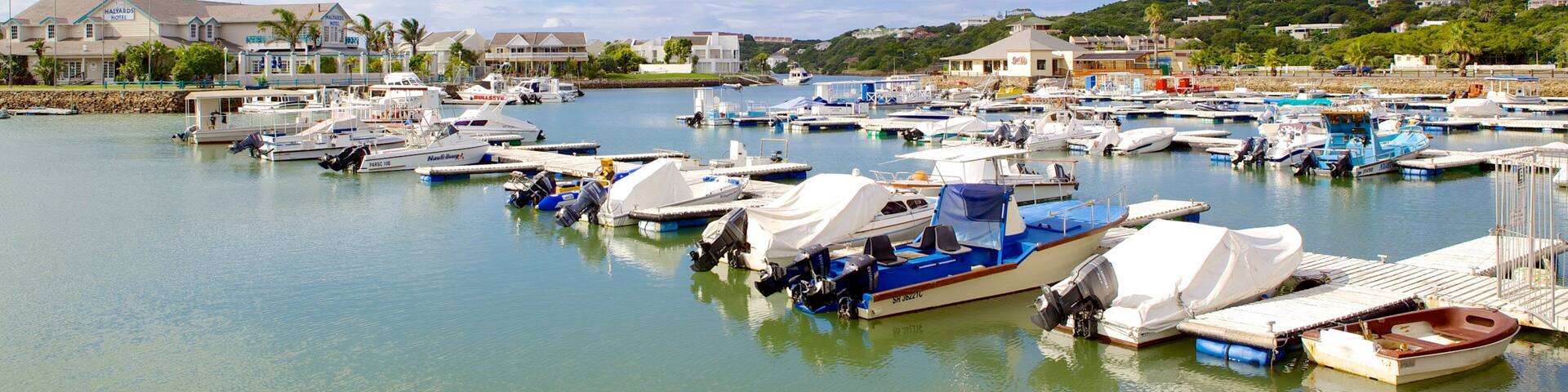 Port Alfred som visar en marina, en kuststad och bÄtkörning
