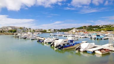 阿爾弗雷德港 设有 濱海小鎮, 划船 和 濱海
