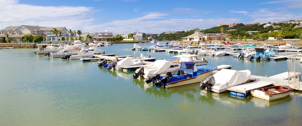 A marina with numerous boats docked, a hotel in the background, and a clear blue sky.
