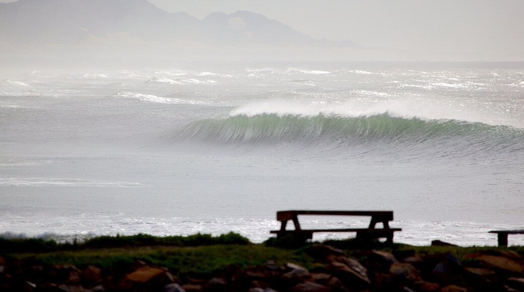 Port Alfred which includes surf, landscape views and general coastal views