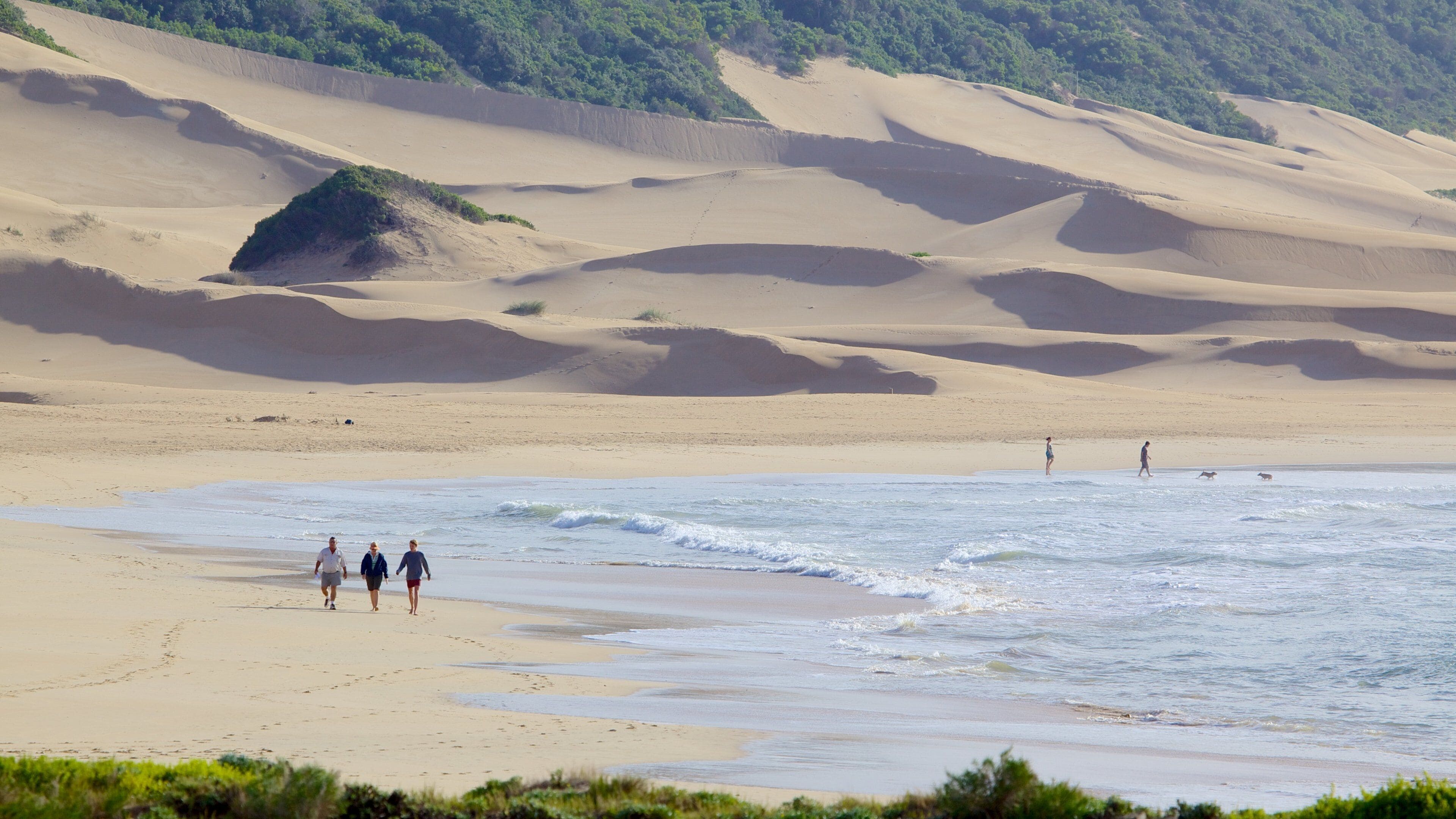 Port Alfred som viser landskap og sandstrand