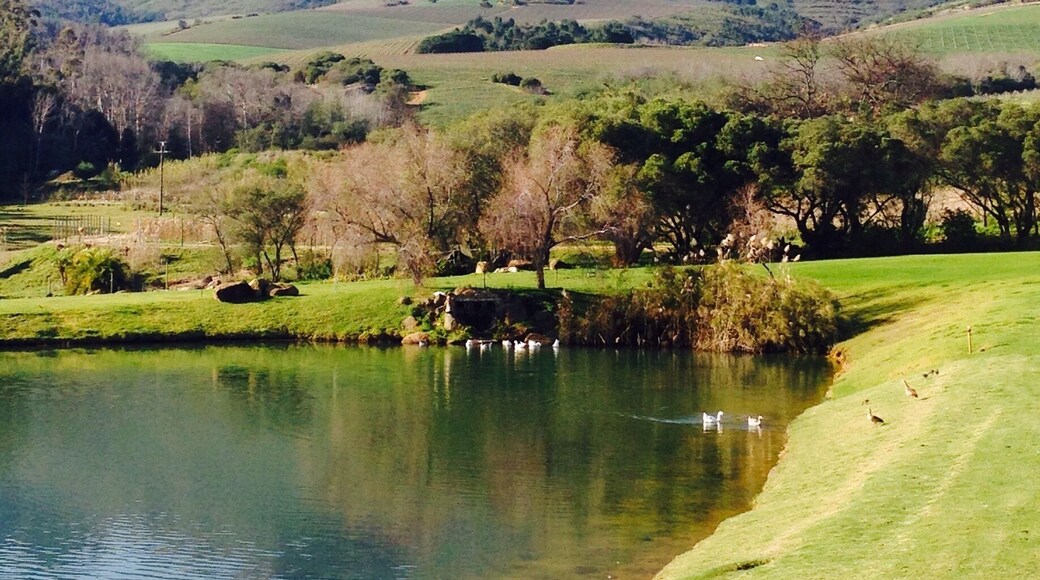 The beautiful western coast country!