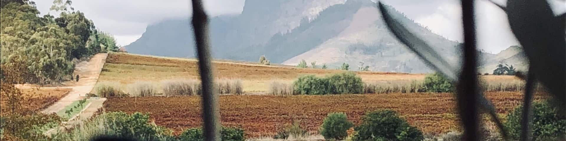 Stellenbosch, Cape Town, SA